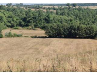 Terreno agricolo all'asta a celleno via viterbo