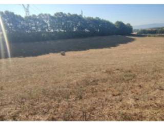 Terreno agricolo all'asta a celleno via viterbo