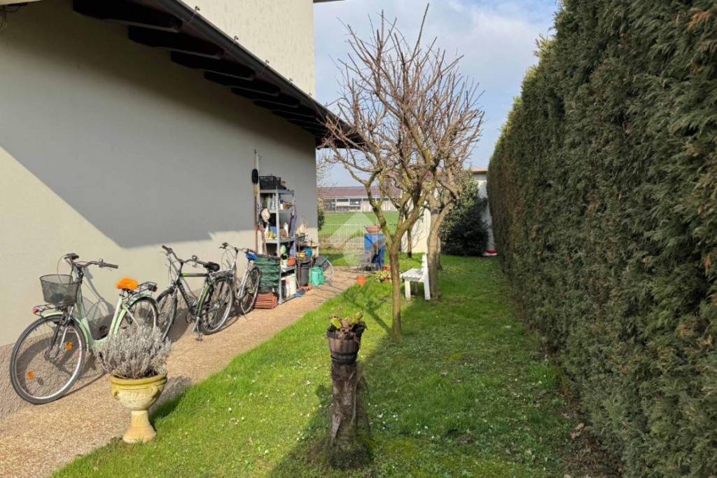 immagine annuncio 6 di 15