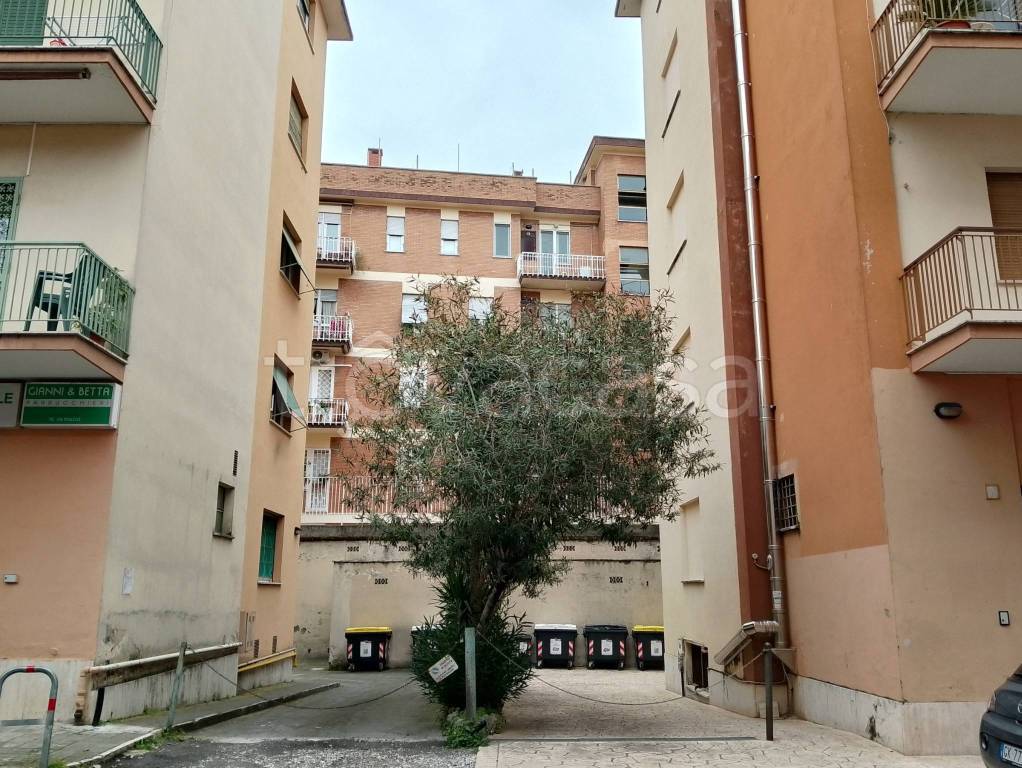 immagine annuncio 9 di 11