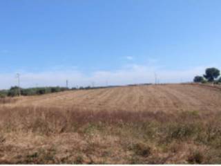 Terreno agricolo all'asta a celleno via viterbo