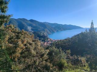 Terreno agricolo in vendita a monterosso al mare via mesco