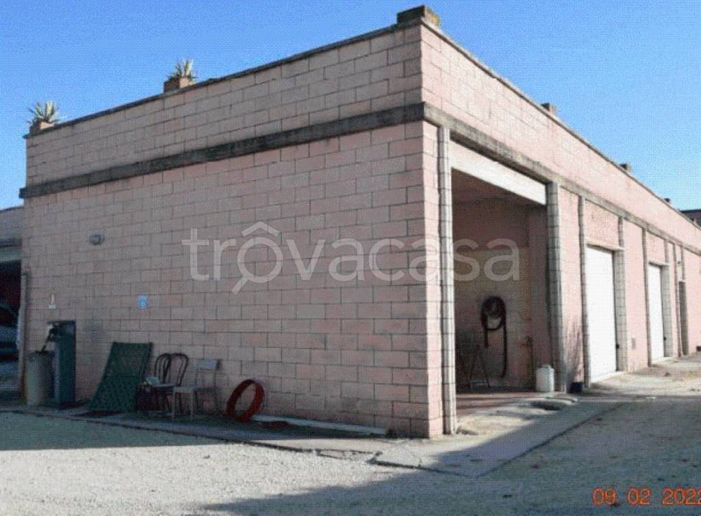 immagine annuncio 10 di 15