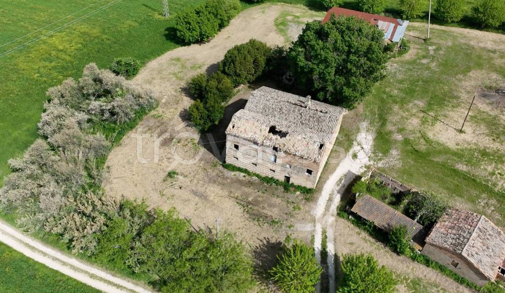 immagine annuncio 3 di 11