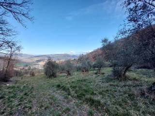 Terreno agricolo in vendita a bagno a ripoli via di remoluzzo