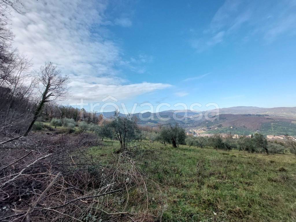 immagine annuncio 5 di 6