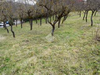 Terreno residenziale in vendita a tagliacozzo via balilla