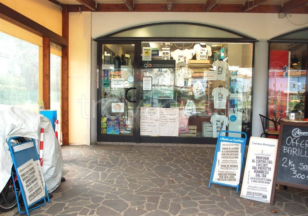 immagine annuncio 10 di 12