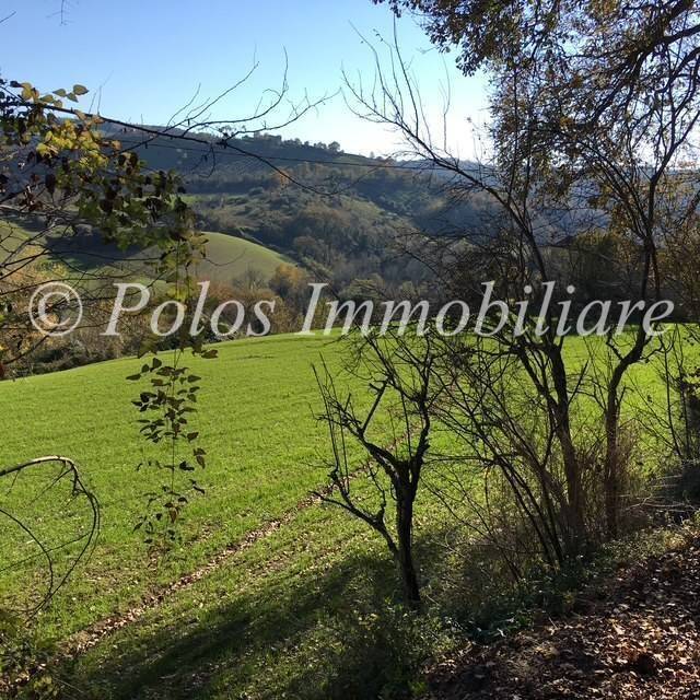 immagine annuncio 8 di 12