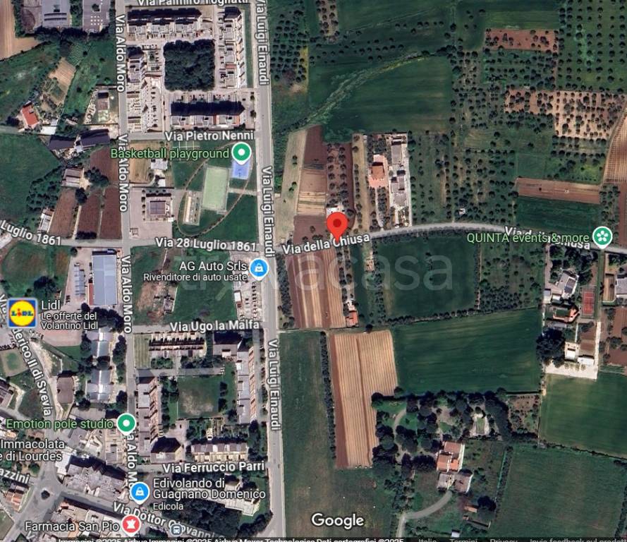 immagine annuncio 3 di 15