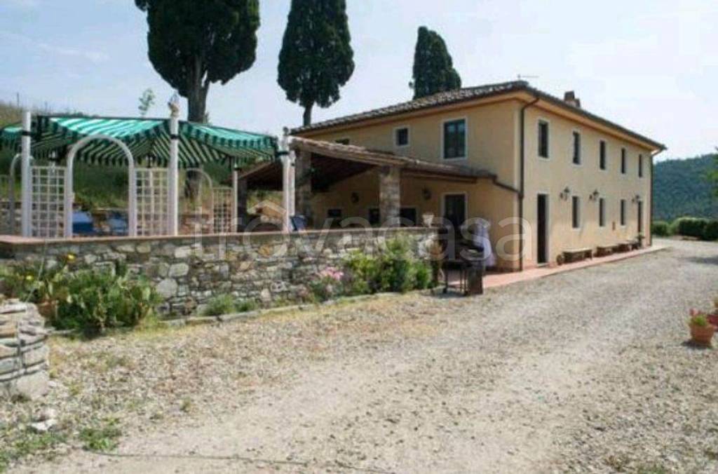 immagine annuncio 9 di 14