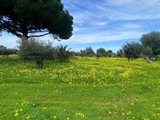 Terreno agricolo in vendita a carini via ferdinando magellano