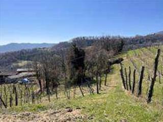 Terreno agricolo all'asta a monte di malo via gamba