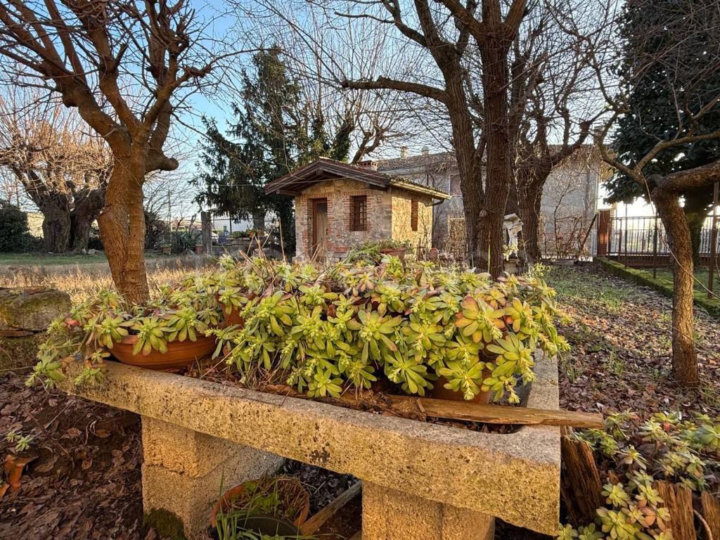 immagine annuncio 5 di 15