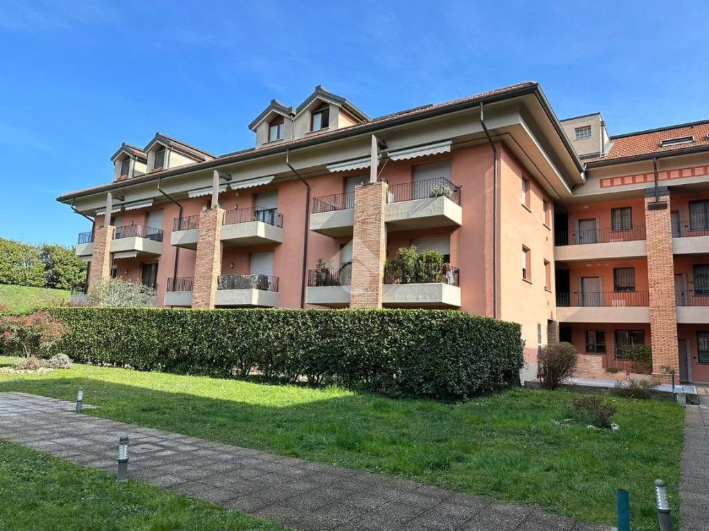 immagine annuncio 1 di 15
