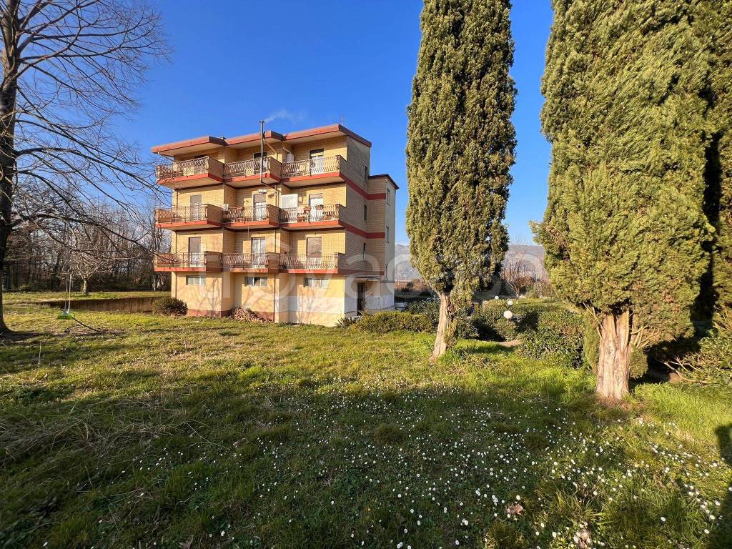 immagine annuncio 11 di 15