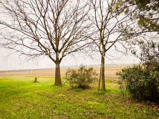 Terreno agricolo in vendita a ravenna 