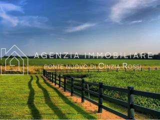 Terreno agricolo in vendita a ravenna 