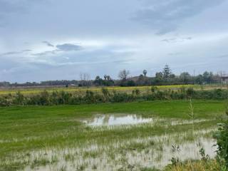 Terreno agricolo in vendita a eboli strada provinciale coda di volpe