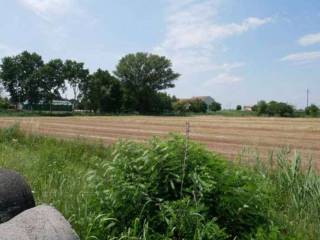 Terreno agricolo in vendita a bagnolo san vito località bagnolo san vito