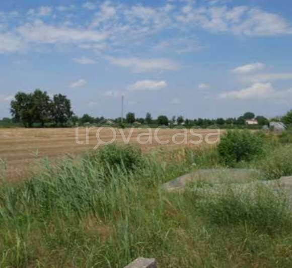 immagine annuncio 7 di 14