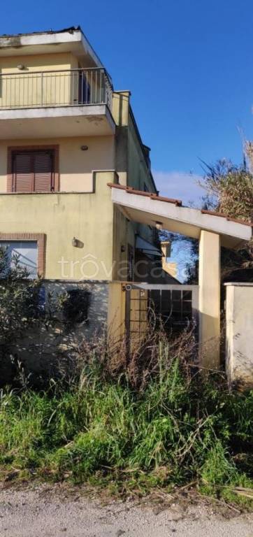 immagine annuncio 5 di 8