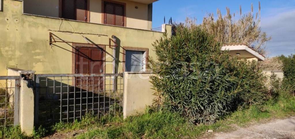 immagine annuncio 7 di 8