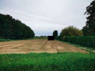 Terreno agricolo in vendita a lendinara via crosara