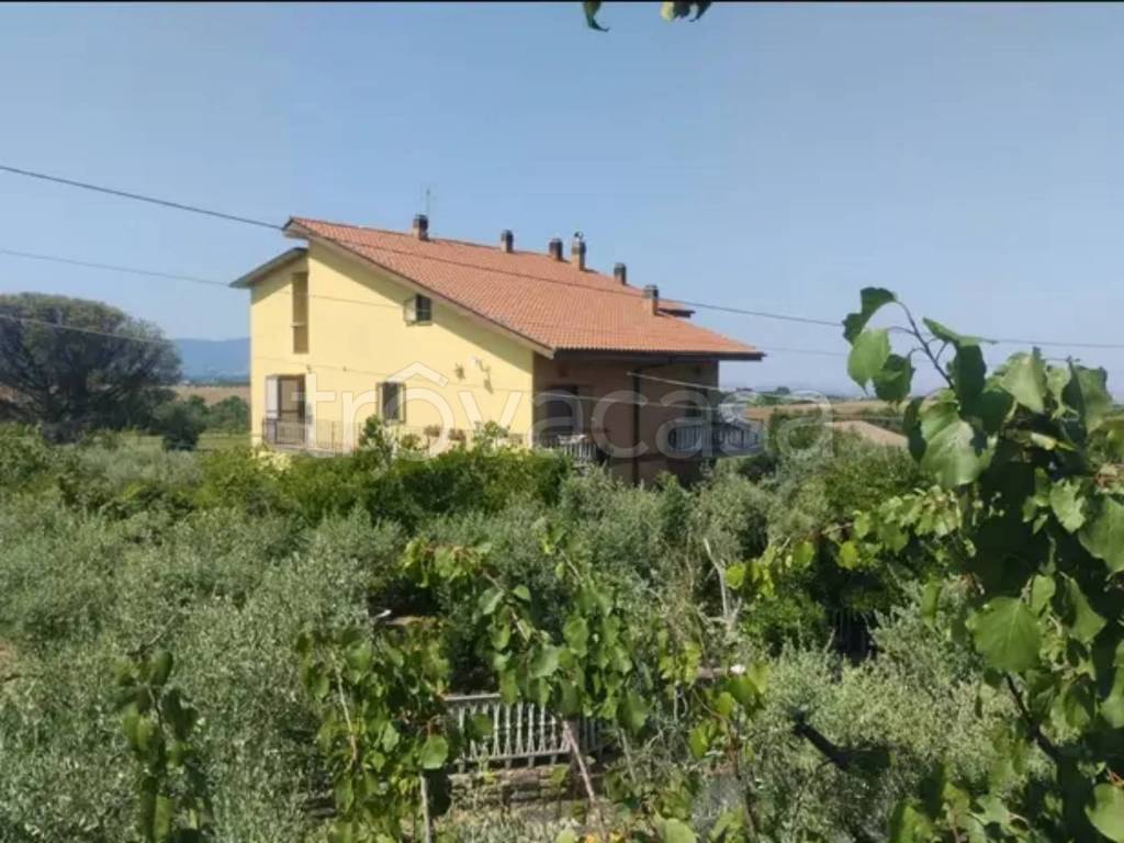 immagine annuncio 5 di 6