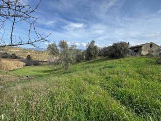 Terreno agricolo in vendita a cosenza contrada pantano di diodato