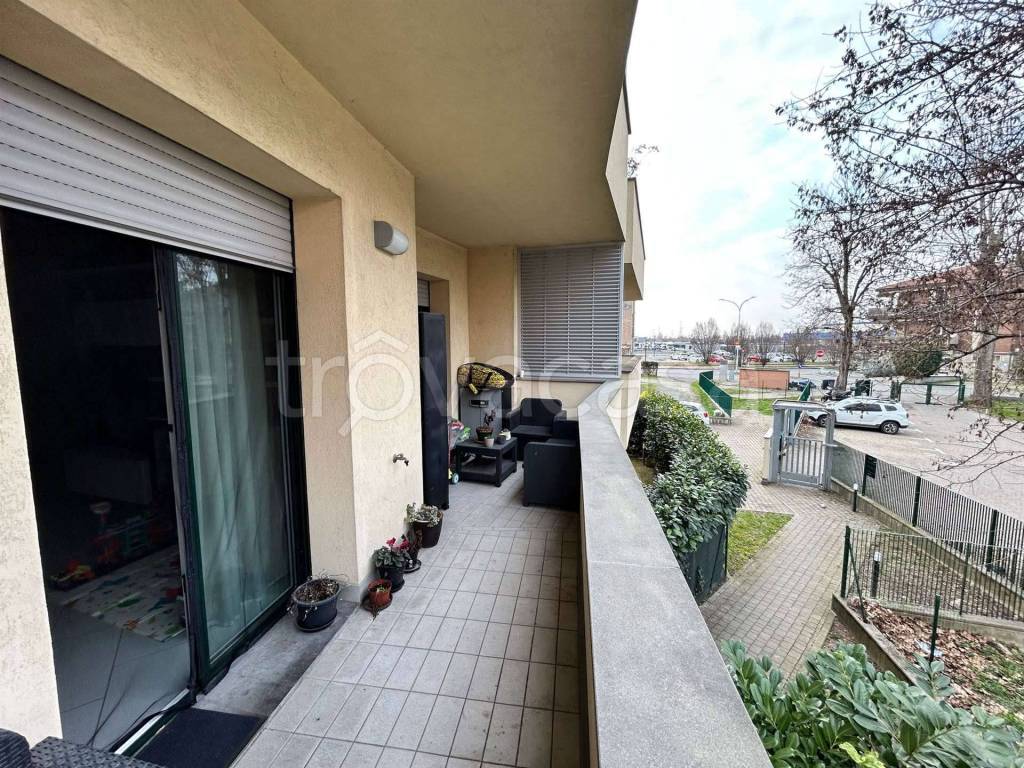 immagine annuncio 9 di 15