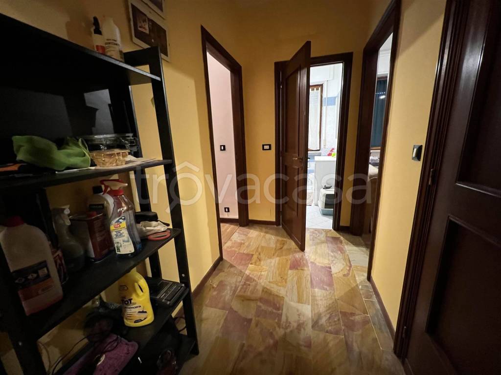 immagine annuncio 9 di 14