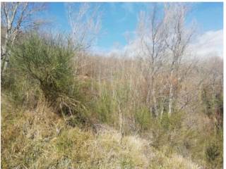 Terreno agricolo all'asta a cessapalombo frazione villa