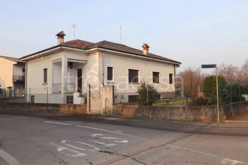 immagine annuncio 4 di 15