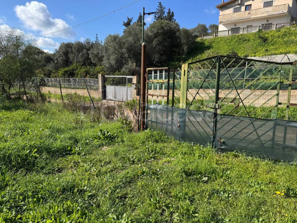 immagine annuncio 6 di 8