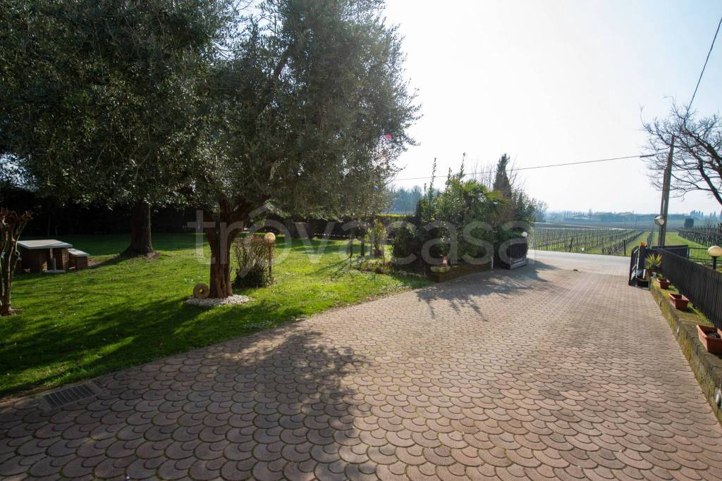 immagine annuncio 9 di 15