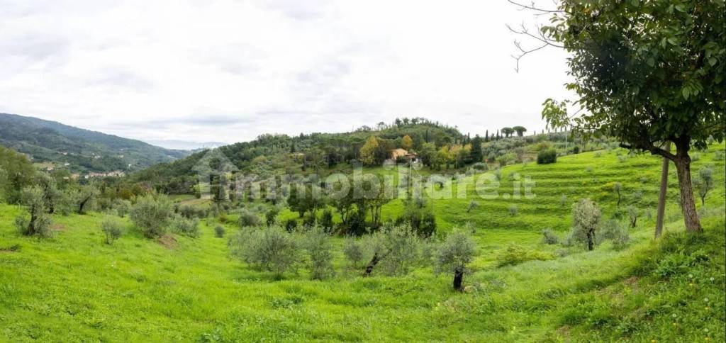 immagine annuncio 1 di 8