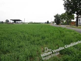 Terreno agricolo all'asta a novellara area pua armonia