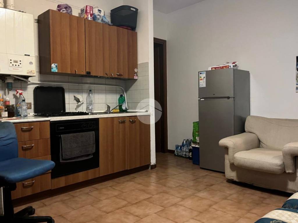 immagine annuncio 3 di 12