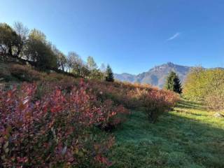 Terreno agricolo all'asta a ledro localita' cavi e nosavai