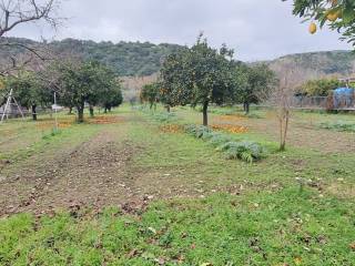 Terreno agricolo in vendita a battipaglia 