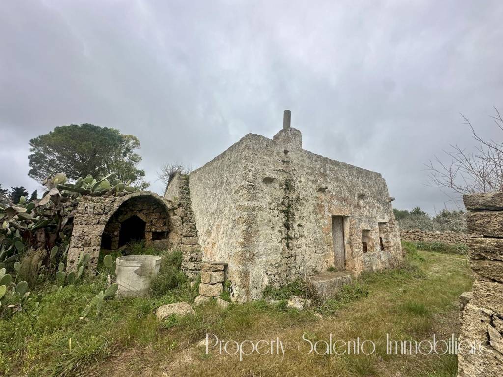 immagine annuncio 2 di 14