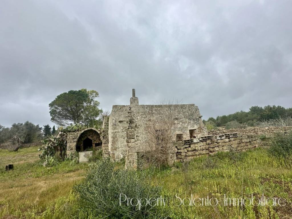 immagine annuncio 8 di 14