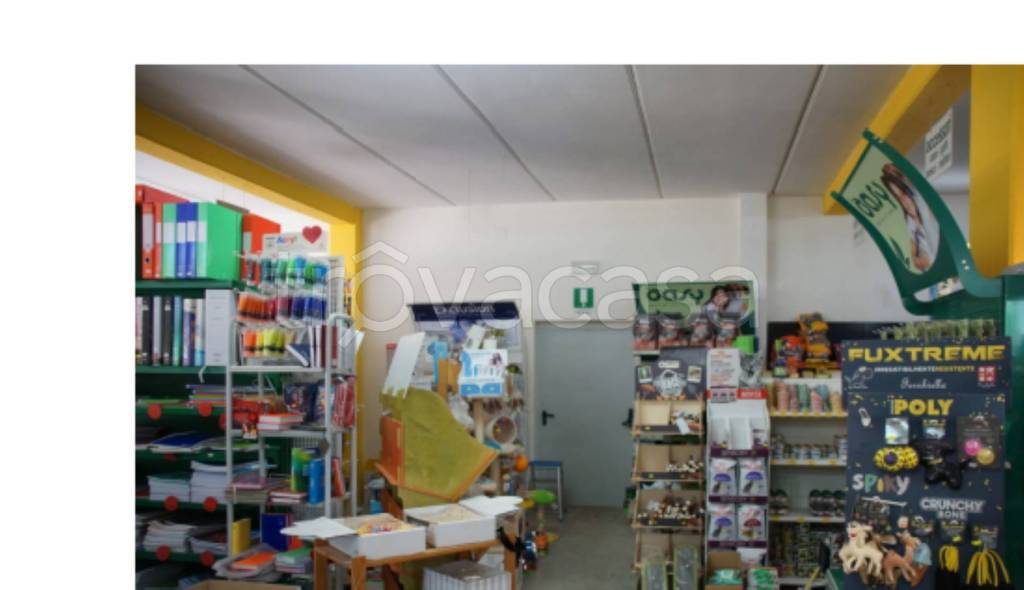 immagine annuncio 7 di 14