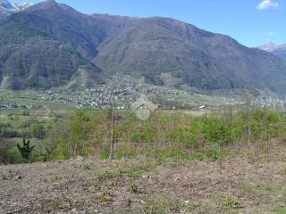 Terreno commerciale in vendita a villa di tirano via motta