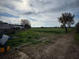 Terreno agricolo in vendita a battipaglia via serroni alto