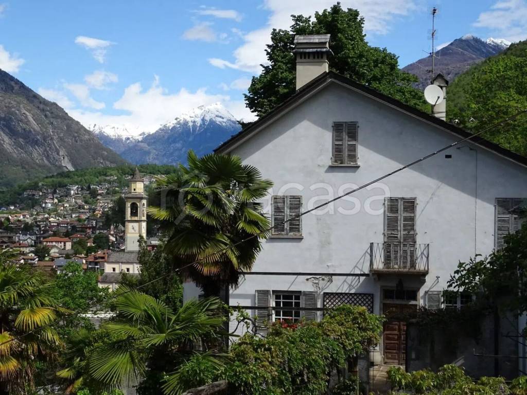 immagine annuncio 4 di 15