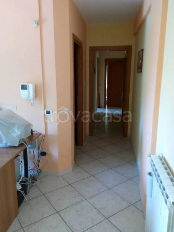immagine annuncio 5 di 12