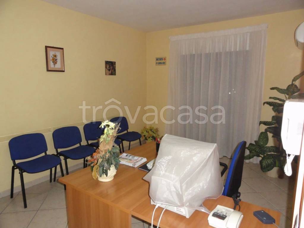 immagine annuncio 7 di 12