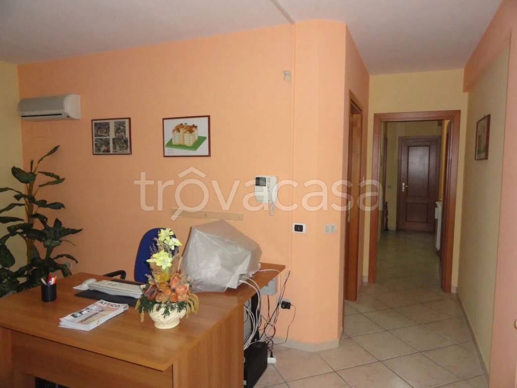 immagine annuncio 9 di 12